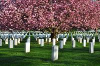 Ashland Memorial Park Cemetery image 2